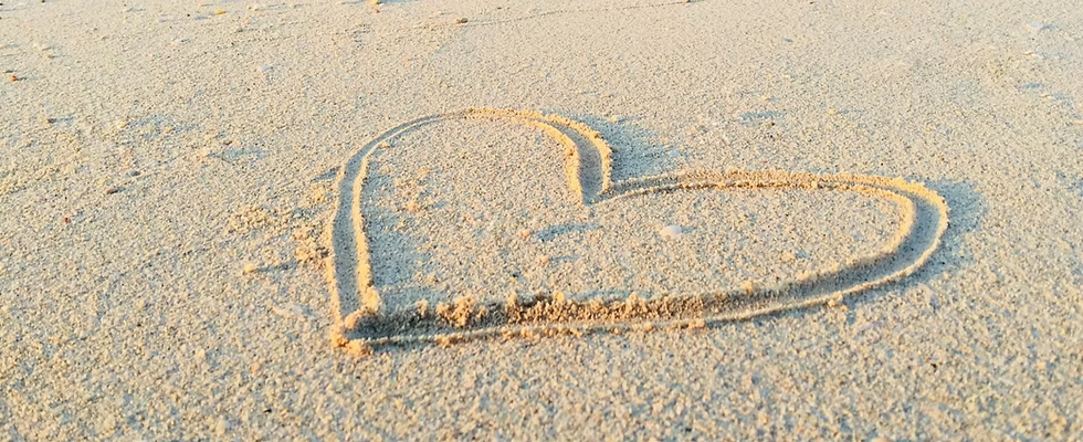 habitudes alimentaires