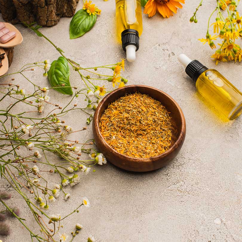 La naturopathie, un art de vivre